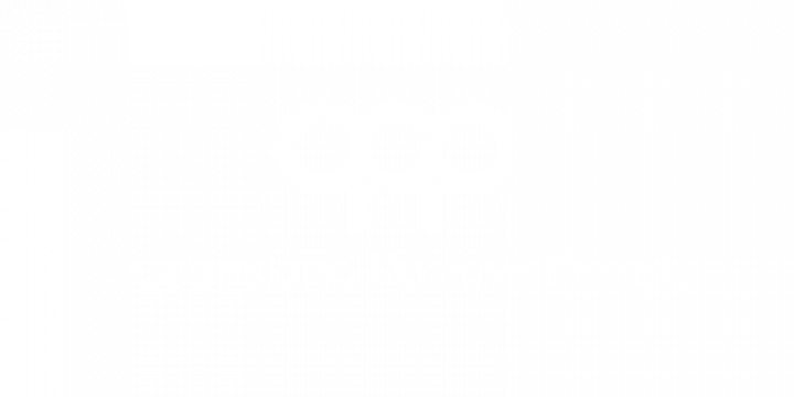 alternative text